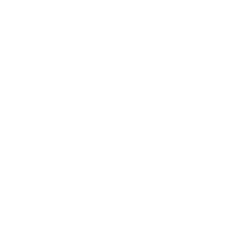 Tortoise Storage Logo in white